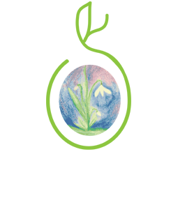 Pedagogia Steineriana Vergante – Lago Maggiore